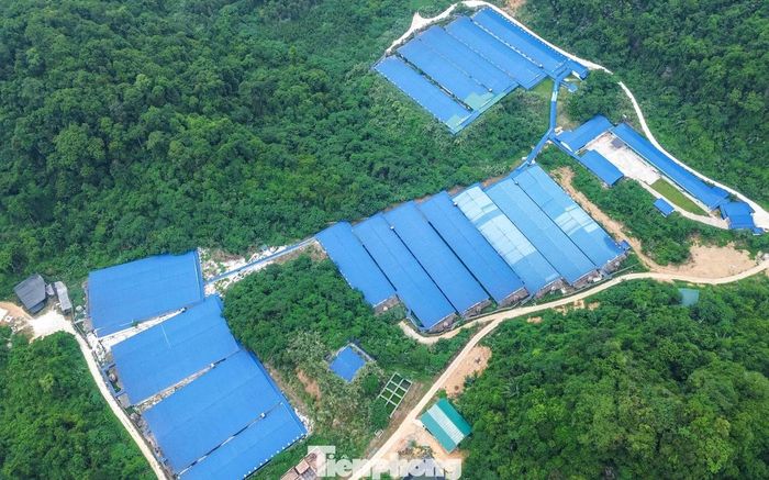 Theo chính quyền địa phương, ba trang trại còn lại gồm: ông Nguyễn Văn Tuấn, Phó Chủ tịch UBND xã Thanh Quân, cho biết, trên địa bàn xã hiện có bảy trại lợn (sáu trang trại, một gia trại) gồm: Công ty TNHH Công nghệ xanh G8 (Công ty G8), Công ty cổ phần đầu tư quốc tế ASEAN Công ty TNHH thương mại Song Dương, Công ty TNHH Bãi Kê, Cụm trang trại chăn nuôi lợn Đồng Sán. Quá trình hoạt động, các trang trại này cũng bị phát hiện, xử lý vi phạm liên quan đến vấn đề môi trường và yêu cầu khắc phục.