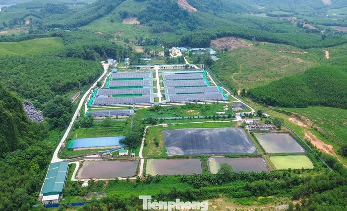 Một dự án khác là trang trại lợn của Công ty CP phát triển nông nghiệp sạch Thanh Xuân đóng tại thôn Thanh Bình (xã Thanh Quân). Trang trại này có diện tích 7,6ha, tổng đàn 2.400 lợn nái.