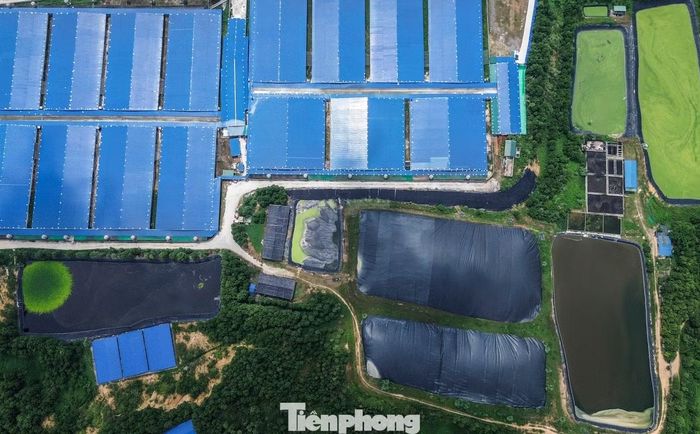 Cuối năm 2025, sau khi trại chăn nuôi của doanh nghiệp này xảy ra vụ hỏa hoạn, cơ quan chức năng vào kiểm tra phát hiện đơn vị này có nhiều vi phạm về công tác bảo vệ môi trường và xử phạt hơn 500 triệu đồng. Cơ quan chức năng yêu cầu Công ty cổ phần đầu tư quốc tế ASEAN khắc phục các hạn chế, tồn tại trước khi thực hiện tái đàn. Tháng 4/2026, công ty đã cơ bản khắc phục xong và hiện đã tái đàn.