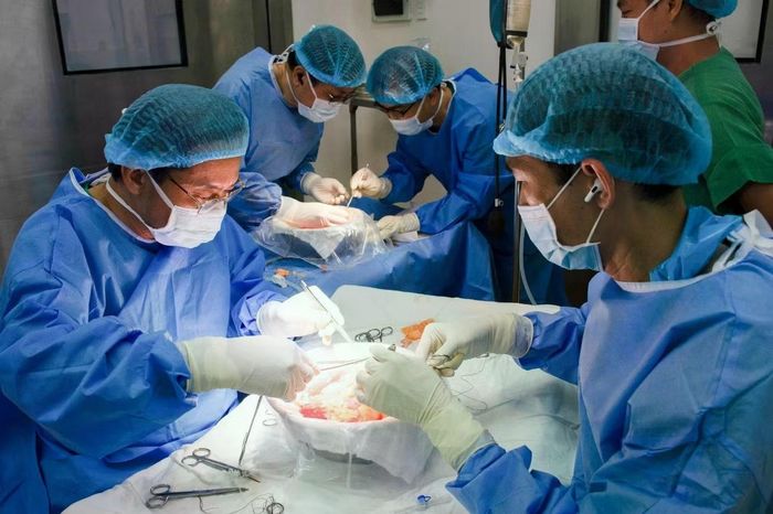 Ê-kíp y bác sĩ Bệnh viện Nhân dân 115 trong một ca ghép thận thực hiện tháng 6/2026
