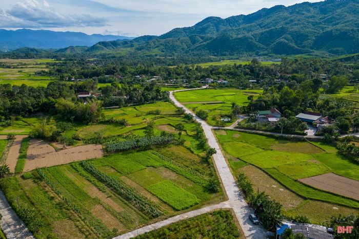  Phát triển vùng trồng cỏ đang trở thành xu hướng ở nhiều địa phương có thế mạnh chăn nuôi của Hà Tĩnh. (Ảnh chụp tại xã Sơn Hồng). 