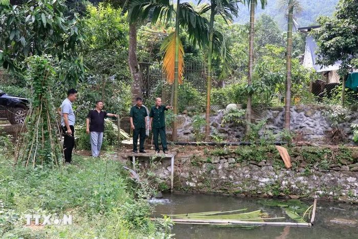 Lãnh đạo Hội Cựu chiến binh xã Hưng Khánh và cán bộ xã thăm mô hình kinh tế của cựu chiến binh Hà Ngọc Nga, xã Hưng Khánh (Lào Cai). (Ảnh: Đinh Thùy /TTXVN)