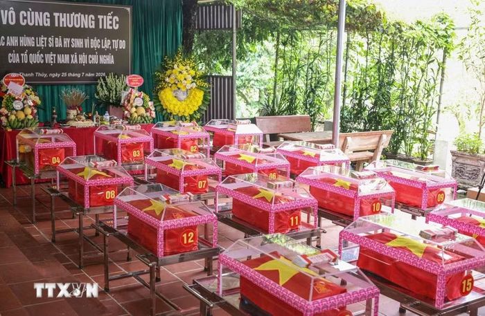 Hài cốt 34 liệt sỹ được Đội tìm kiếm, quy tập hài cốt liệt sỹ tỉnh Tuyên Quang tìm thấy trong "Chiến dịch 500 ngày đêm đẩy mạnh tìm kiếm, quy tập và xác định danh tính hài cốt liệt sỹ.” (Ảnh: Hoàng Hiếu/TTXVN)
