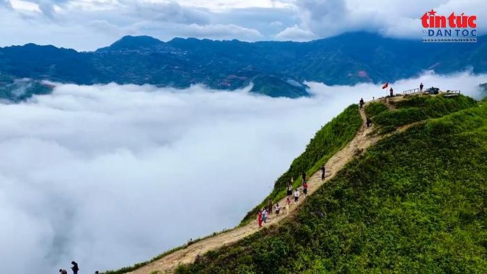 Cung đường trên sống lưng khủng long thu hút đông du khách đến săn mây, ngắm cảnh.