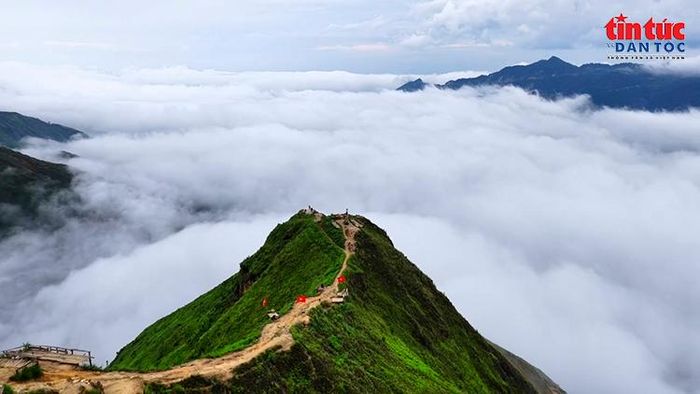Sống lưng khủng long uốn lượn giữa biển mây trắng, một trong những điểm đến nổi tiếng tại Tà Xùa.