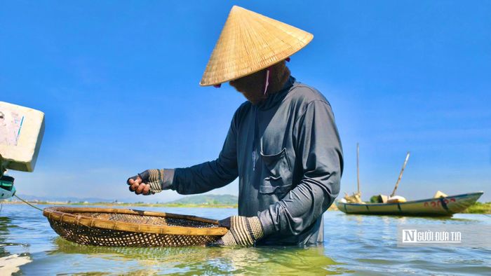 Ông Lô cho biết, don chỉ sinh sống ở vùng nước lợ, vùi mình trong lớp cát và hấp thụ nguồn phù sa từ thượng nguồn đổ về. Chính môi trường ấy tạo nên vị ngọt thanh đặc trưng, làm nên hương vị riêng của don Quảng Ngãi.