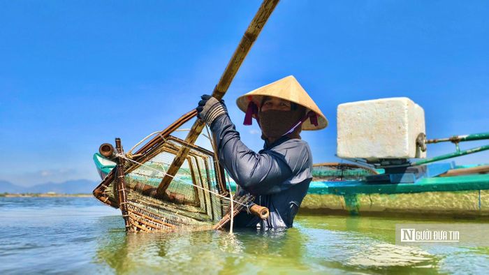 Theo ông Lực, nghề cào don phụ thuộc hoàn toàn vào con nước. Chỉ khi nước xuống mới có thể làm nghề. Có hôm gặp đúng luồng don thì thu được khá, nhưng cũng có những buổi ngâm mình nhiều giờ dưới nước mà thành quả chẳng được bao nhiêu.