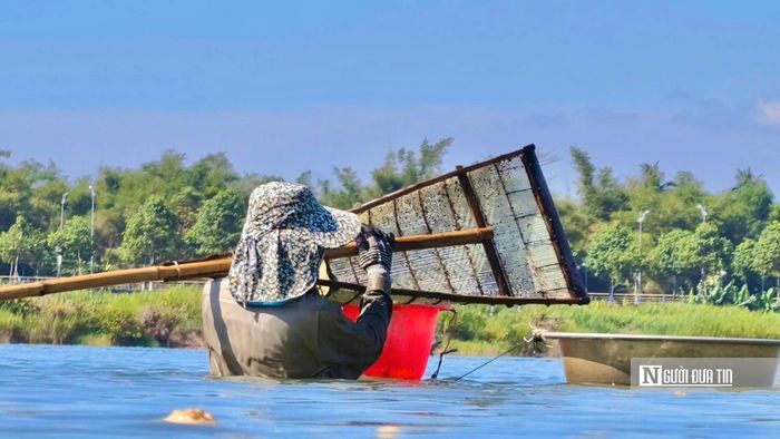 Mỗi buổi cào kéo dài từ 4 đến 6 tiếng. Khi nước rút, người dân xuống sông làm việc; đến lúc thủy triều dâng, mọi người thu dọn dụng cụ, đưa don lên ghe rồi trở vào bờ.