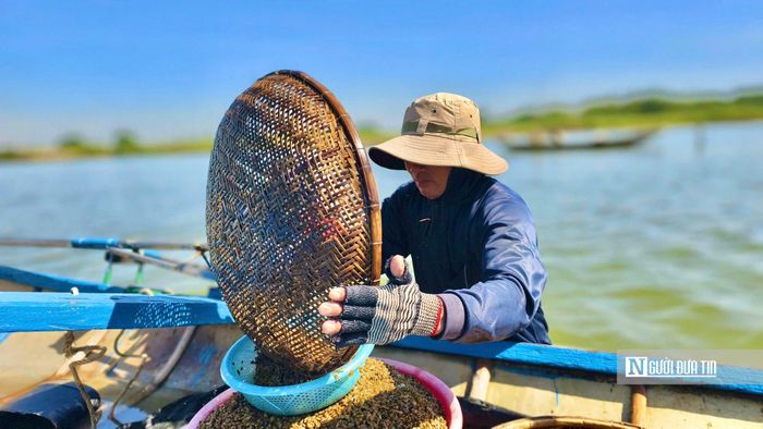 Hiện nay, tại xã An Phú và xã Tịnh Khê vẫn còn hàng chục hộ dân gắn bó với nghề cào don. Từ lúc bình minh vừa ló dạng, họ mang theo cơm nước xuống sông và chỉ trở về khi con nước đổi chiều.