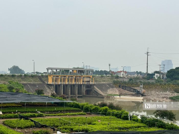 Theo ghi nhận của phóng viên dọc 2 bên hệ thống thủy lợi này tại địa phận tỉnh Hưng Yên có nhiều diện tích đất đang được người dân canh tác hoa, cây cảnh.