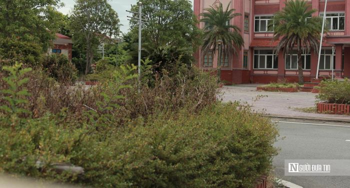 Cây cối mọc um tùm, khuôn viên trở nên hoang lạnh.