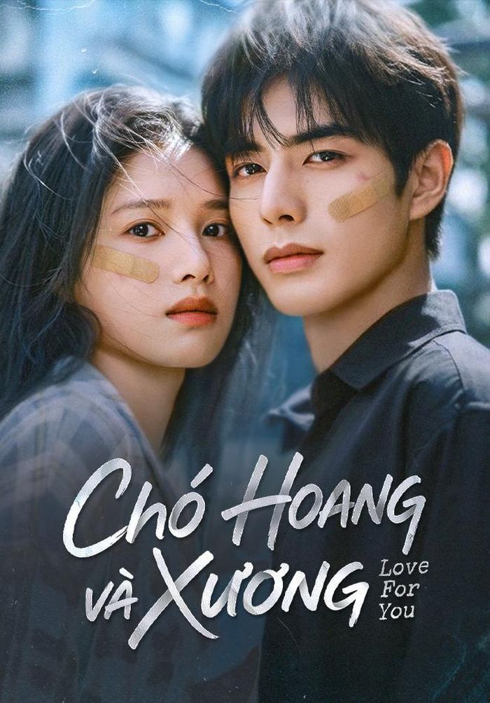 Tống Uy Long là diễn viên hiếm hoi góp mặt trong bảng xếp hạng nhờ cùng lúc hai vai diễn. Ở Chó Hoang Và Xương, anh hóa thân thành Trần Dị - chàng trai có vẻ ngoài bất cần nhưng giàu trách nhiệm, luôn âm thầm che chở Miêu Tĩnh từ thời niên thiếu cho đến khi trưởng thành. Trong khi đó, ở Thiên Hương, anh đảm nhận vai Lôi Tu Viễn, một thiên tài tu tiên mang trọng trách gia tộc, sẵn sàng hy sinh bản thân để bảo vệ người mình yêu trước cuộc truy sát của ba giới Tiên - Yêu - Ma. Hai hình tượng với màu sắc hoàn toàn khác nhau giúp nam diễn viên tăng thêm 84.700 người theo dõi trong tuần.