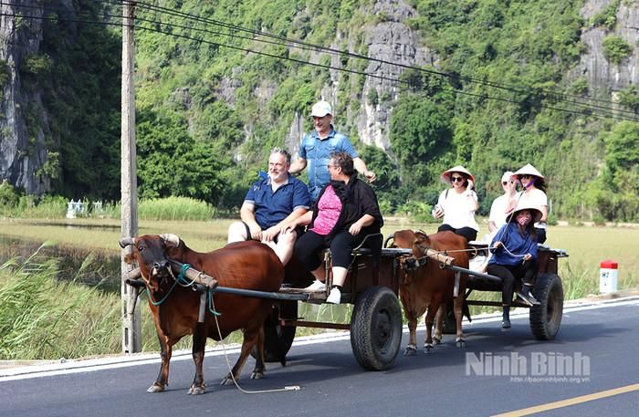 Những trải nghiệm khó quên của du khách nước ngoài khi đến Ninh Bình. Ảnh: báo Ninh Bình