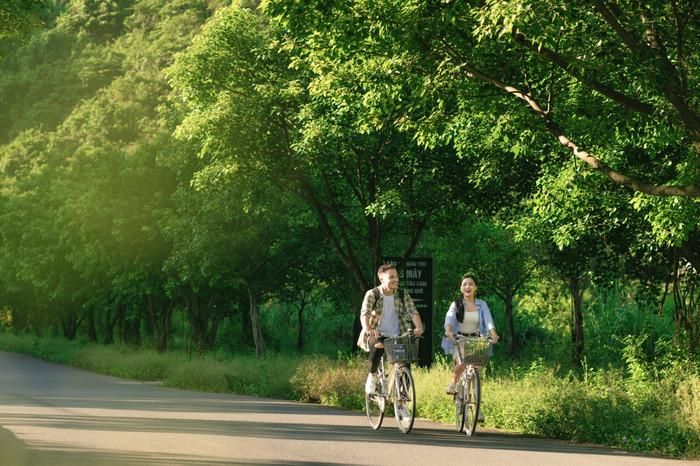 Du khách đạp xe trên con đường cây bồ đề tại Ninh Bình. Ảnh: Sunny VietNam/báo Lao Động