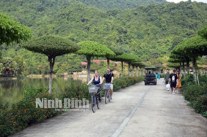 Ảnh: báo Ninh Bình