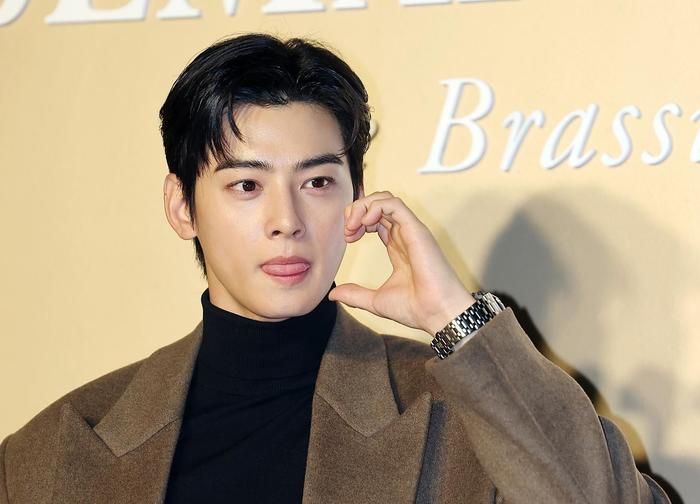 Cha Eun Woo từng là tâm điểm của truyền thông Hàn Quốc vì ồn ào liên quan đến nghĩa vụ thuế.