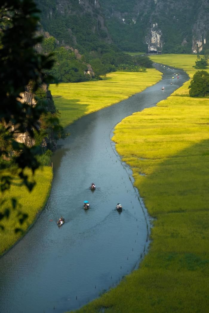 Ảnh: báo Lao Động