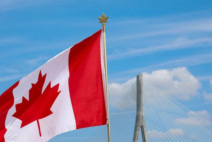 Quốc kỳ Canada tung bay gần cầu quốc tế Gordie Howe nối Windsor (Canada) và Detroit (Mỹ). Ảnh: Reuters.