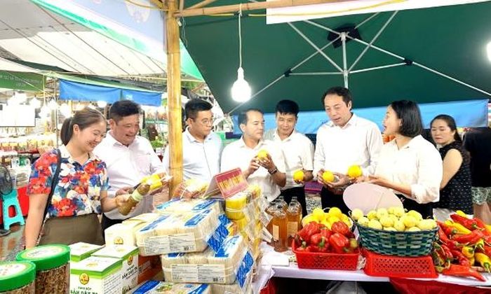  Các đại biểu tham quan gian hàng giới thiệu sản phẩm hợp tác xã Bắc Ninh ở Phiên chợ "Sắc màu làng nghề, giao thoa văn hóa vùng miền" do Liên minh Hợp tác xã thành phố Hà Nội tổ chức. 