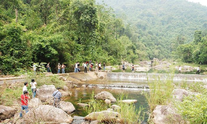 Lợi thế lớn nhất ở khu vực miền núi chính là rừng và cảnh quan tự nhiên. Ảnh: Rừng nguyên sinh Khe Rỗ thuộc địa phận xã An Lạc.