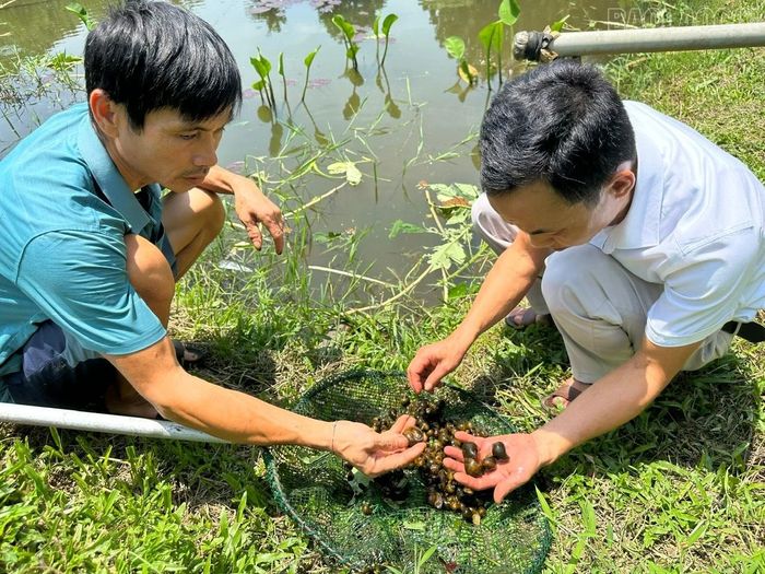 Qua các kênh thông tin, người dân xã Bảo Ái đã mạnh dạn chuyển đổi cơ cấu cây trồng, vật nuôi mang lại giá trị cao, góp phần giảm nghèo bền vững.