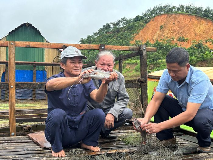 Cá lăng đuôi đỏ đặc sản sông Đồng Nai