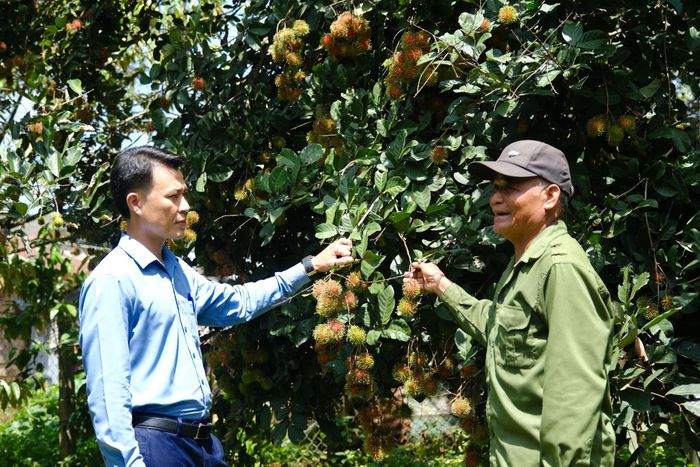 Nhiều mô hình hỗ trợ sản xuất, phát triển kinh tế được triển khai tại vùng sâu, vùng xa Đồng Nai Thượng, xã Cát Tiên 3