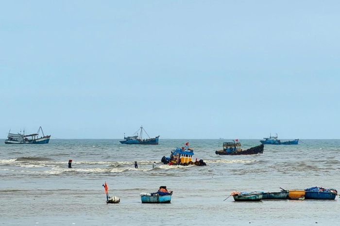 Quang cảnh cửa biển cảng cá La Gi thuộc phường Phước Hội, tỉnh Lâm Đồng