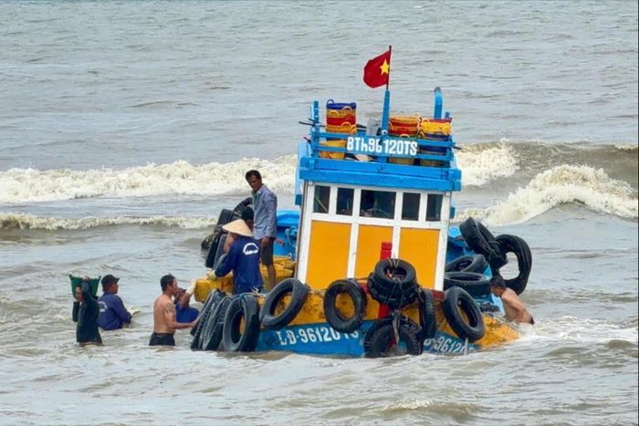 Ngư dân cùng nhau di chuyển cá cơm vào bờ