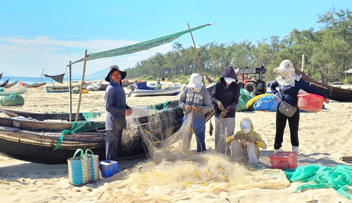 Cả gia đình ông Nguyễn Chuân được huy động ra làm sạch lưới