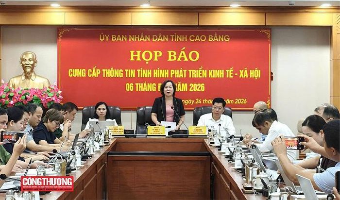 Đồng chí Hà Nhật Lệ - Phó Chủ tịch UBND tỉnh phát biểu kết luận buổi họp báo.