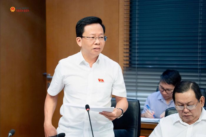 Đại biểu Quốc hội hoạt động chuyên trách tại Ủy ban Kinh tế và Tài chính Lê Minh Nam phát biểu