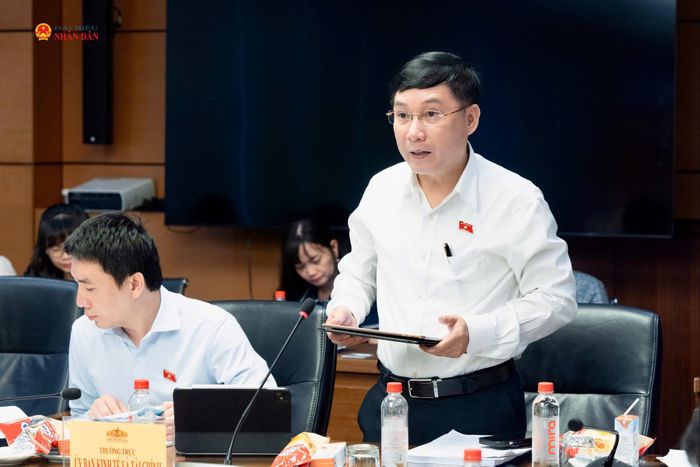 Đại biểu Quốc hội hoạt động chuyên trách tại Ủy ban Kinh tế và Tài chính Nguyễn Hoàng Anh phát biểu