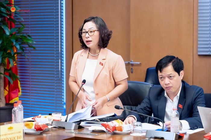 Đại biểu Quốc hội hoạt động chuyên trách tại Ủy ban Pháp luật và Tư pháp Tống Thị Hạnh phát biểu
