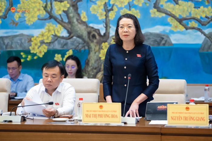 Phó Chủ nhiệm Ủy ban Pháp luật và Tư pháp Mai Thị Phương Hoa phát biểu. Ảnh: Phạm Thắng