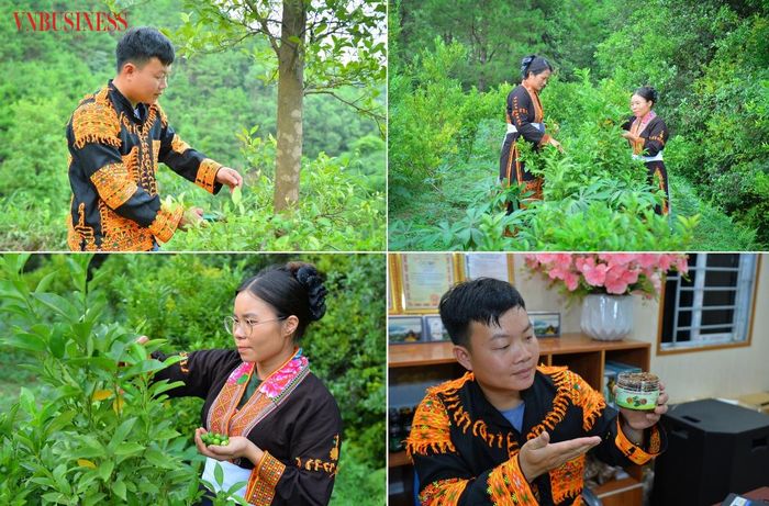 Từ những vườn chanh trên vùng núi Mẫu Sơn đến các phiên livestream bán hàng, HTX Nông trang sinh thái Mẫu Sơn đang từng bước kết hợp lợi thế nông sản bản địa với chuyển đổi số, mở rộng thị trường tiêu thụ và quảng bá đặc sản địa phương.