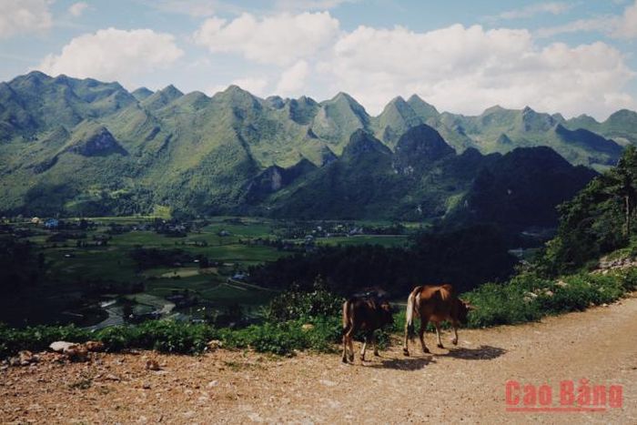 Cảnh đẹp bình yên.