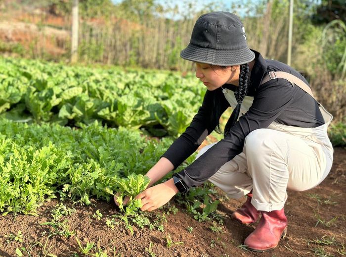 Đây không phải bước lùi mà là một hương đi tích cực