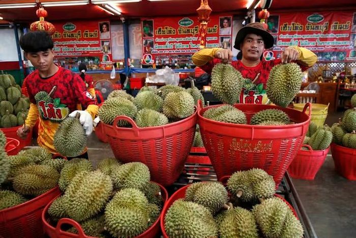 Nhu cầu tiêu thụ tại Trung Quốc tiếp tục là động lực chính thúc đẩy ngành sầu riêng Đông Nam Á