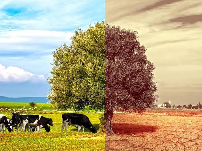 Phần lớn các thiệt hại liên quan đến các hiện tượng thời tiết cực đoan ngày càng nghiêm trọng dưới tác động của biến đổi khí hậu