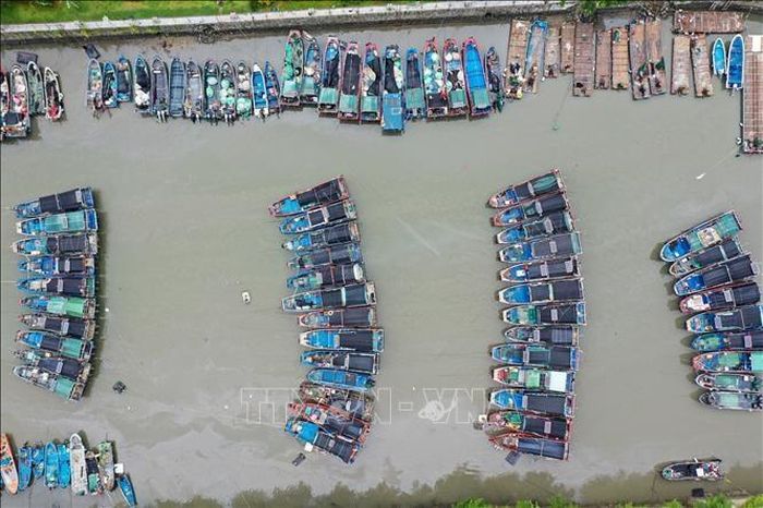 Tàu thuyền neo đậu tránh trú bão tại tỉnh Quảng Đông, Trung Quốc. Ảnh: THX/TTXVN