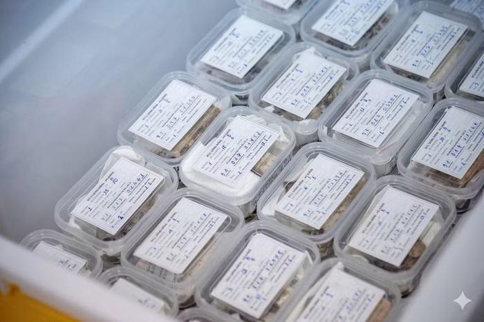 Điều kiện thời tiết khắc nghiệt tại nhiều địa phương khiến chất lượng các mẫu hài cốt được khai quật bị suy giảm nghiêm trọng, gây ảnh hưởng đến kết quả giám định.