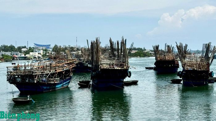 Tàu câu mực của ngư dân Quảng Ngãi neo đậu tại cửa biển Sa Cần. Ảnh minh họa: Văn Tánh