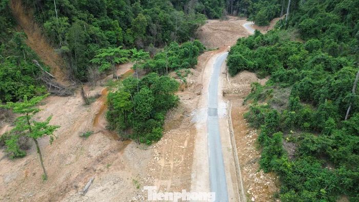 Tuyến đường có tổng chiều dài 48,36 km, điểm đầu tại ngã ba giao đường liên xã Nam Đông, điểm cuối kết nối đường Hồ Chí Minh tại Km372+690 thuộc xã A Lưới 4. Trên tuyến xây dựng mới 3 cây cầu, sửa chữa 4 cầu hiện hữu, 211 cống các loại, 35 km rãnh thoát nước cùng nhiều hạng mục bảo đảm an toàn giao thông và phòng chống thiên tai.
