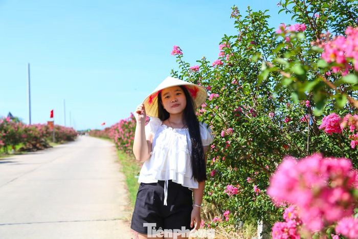Từ trung tâm TP. Đà Nẵng, nhóm của bạn Hồ Ngọc Phương Thảo (phường Hòa Xuân) có mặt ở đường hoa tường vi từ sớm. “Em thấy thông tin về đường hoa này trên Facebook nên rủ bạn bè tới đây chụp ảnh. Không gian ở đây như một bức tranh đồng quê đặc sắc. Em mong muốn đường hoa này được gìn giữ, trở thành một điểm đến được nhiều người biết đến hơn nữa”, Thảo nói.