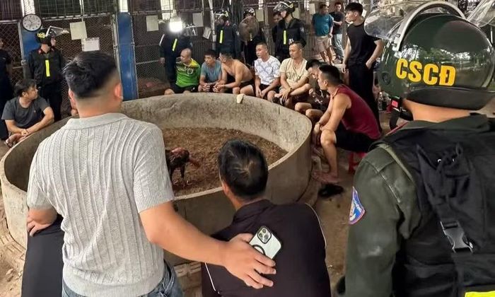 Công an Lạng Sơn bắt sới bạc dưới hình thức đá gà. Ảnh: Công an Lạng Sơn.