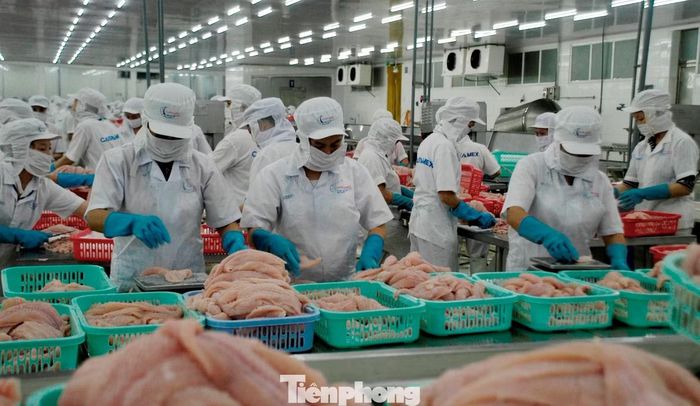 Việt Nam là một trong những nhà cung cấp thủy sản lớn cho thị trường Mỹ.