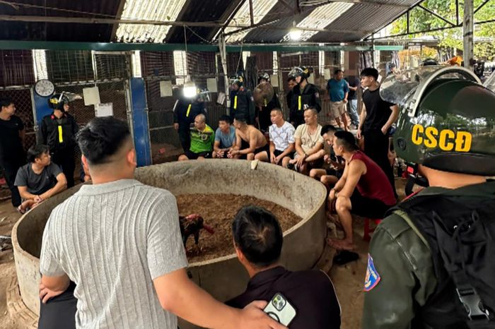 Hiện trường sới bạc bằng hình thức cá cược đá gà. Ảnh: Công an tỉnh Lạng Sơn
