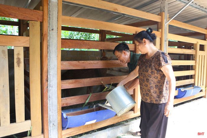 Ông Nguyễn Thế Khoa cùng vợ chăm sóc đàn hươu sao của gia đình.
