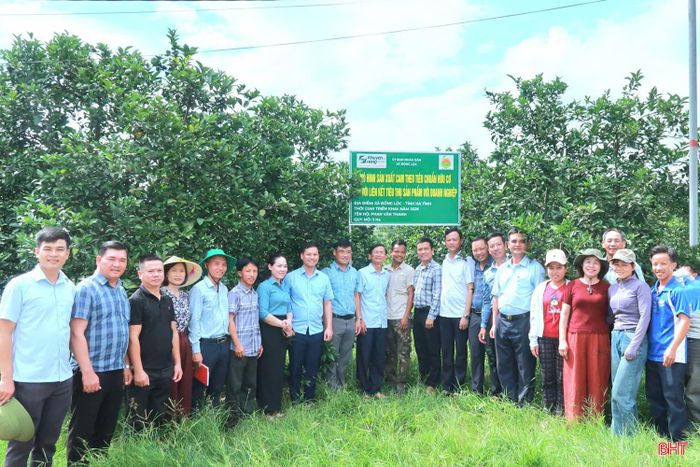 Trung tâm Khuyến nông Hà Tĩnh tiếp tục triển khai mô hình “sản xuất cam đạt tiêu chuẩn hữu cơ gắn với liên kết tiêu thụ sản phẩm” tại xã Đồng Lộc với quy mô 13 ha.